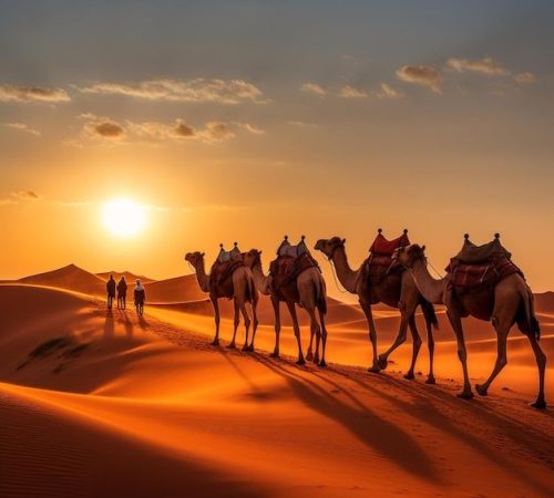 Rajasthan pic